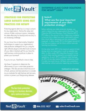STRATEGIES FOR PROTECTING LARGE DATASETS USING BEST PRACTICES FOR NETAPP